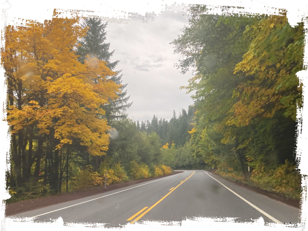 way to breitenbush hot springs